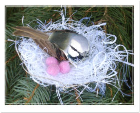 Wire Bird Nest