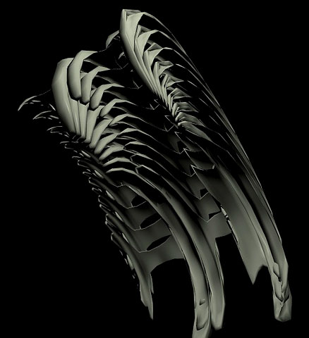 partial creetur skeleton