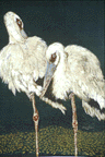 breakx.GIF (12286 bytes)