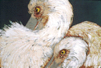 heronx.GIF (13369 bytes)