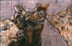 pigsx.GIF (14869 bytes)