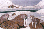 walrusx.GIF (13979 bytes)