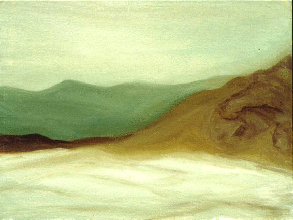 sandunes3.GIF (154513 bytes)