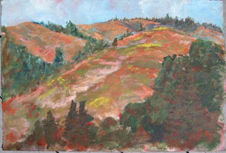 land_IMG_3562